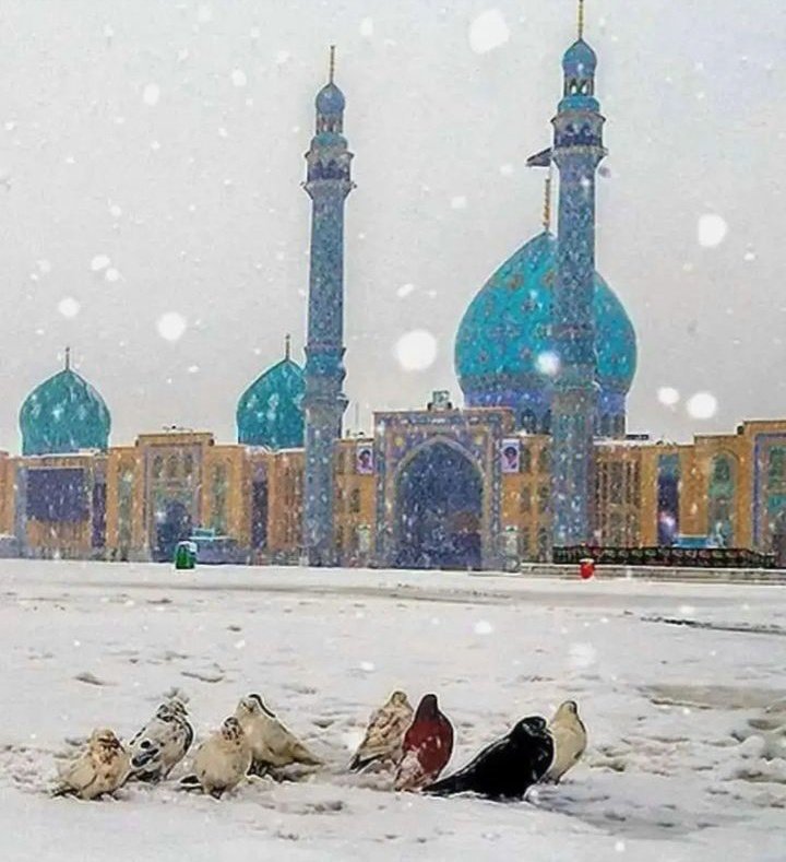 Khān_Shykh tweet media