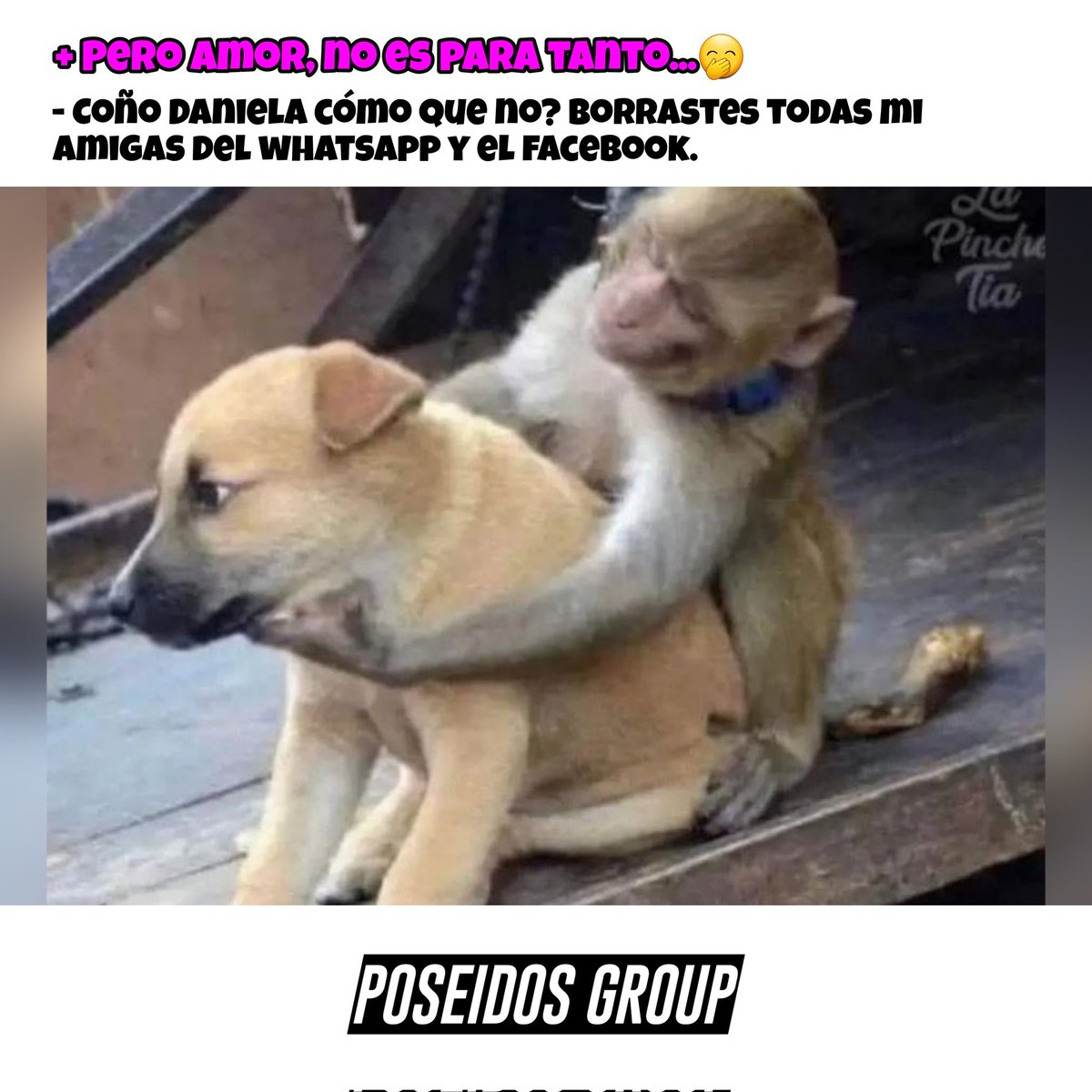 poseidosgroup's tweet photo. #SerieDelCaribe2023 https://t.co/U7jtSwzkyQ