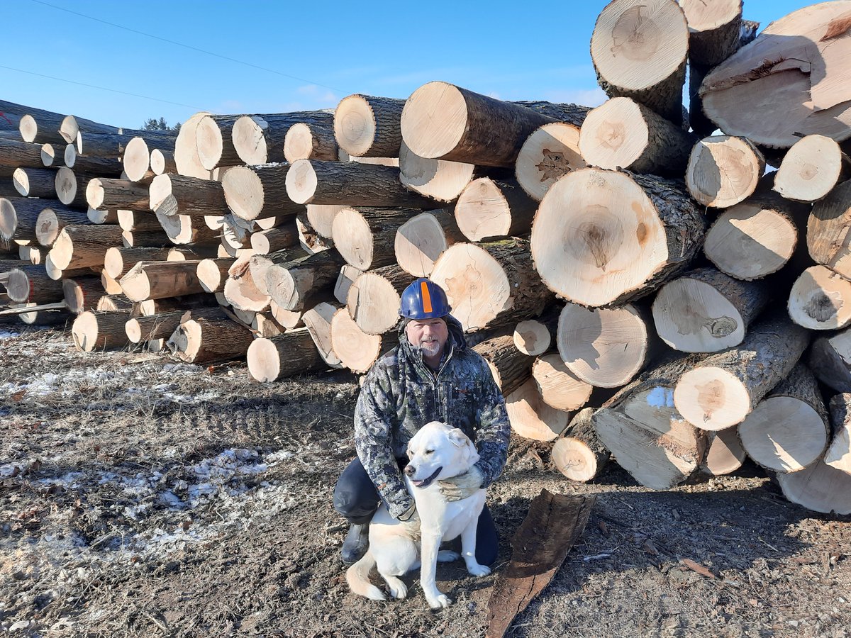 ontariowoodlot's tweet photo. Time well spent in our Niagara Chapter. The OWA participated in a CRIBE Workshop and did a reconnaissance of the venues and tour options for our upcoming conference in late April.
#OWA #ontariowoodlot #forest #stewardship #sustainability #conservation #CRIBE #NextFor https://t.co/gzPfmgln6E