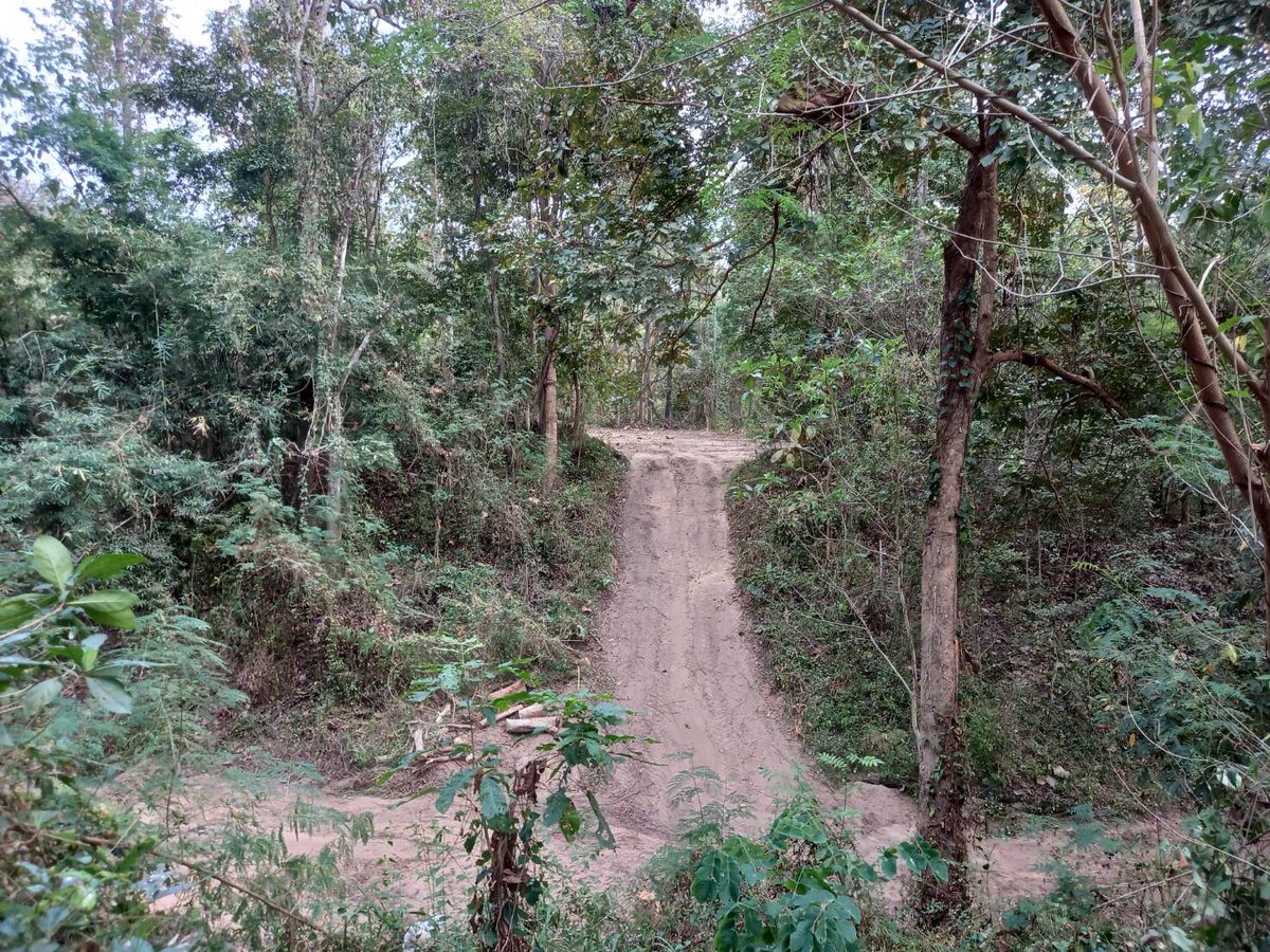 SoraidaSalwala's tweet image. ทุกปีก่อนเข้าแล้งต้องปรับแนวกันไฟไม่ให้มีเชื้อเพลิงสะสมรอบพื้นที่ค่ะ #FireBreaks @FAEeleHosp