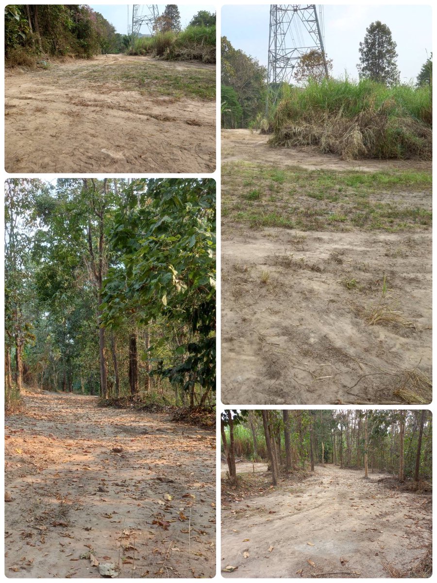 SoraidaSalwala's tweet image. ทุกปีก่อนเข้าแล้งต้องปรับแนวกันไฟไม่ให้มีเชื้อเพลิงสะสมรอบพื้นที่ค่ะ #FireBreaks @FAEeleHosp