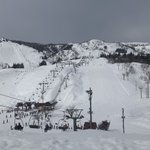 ツイートに含まれる画像