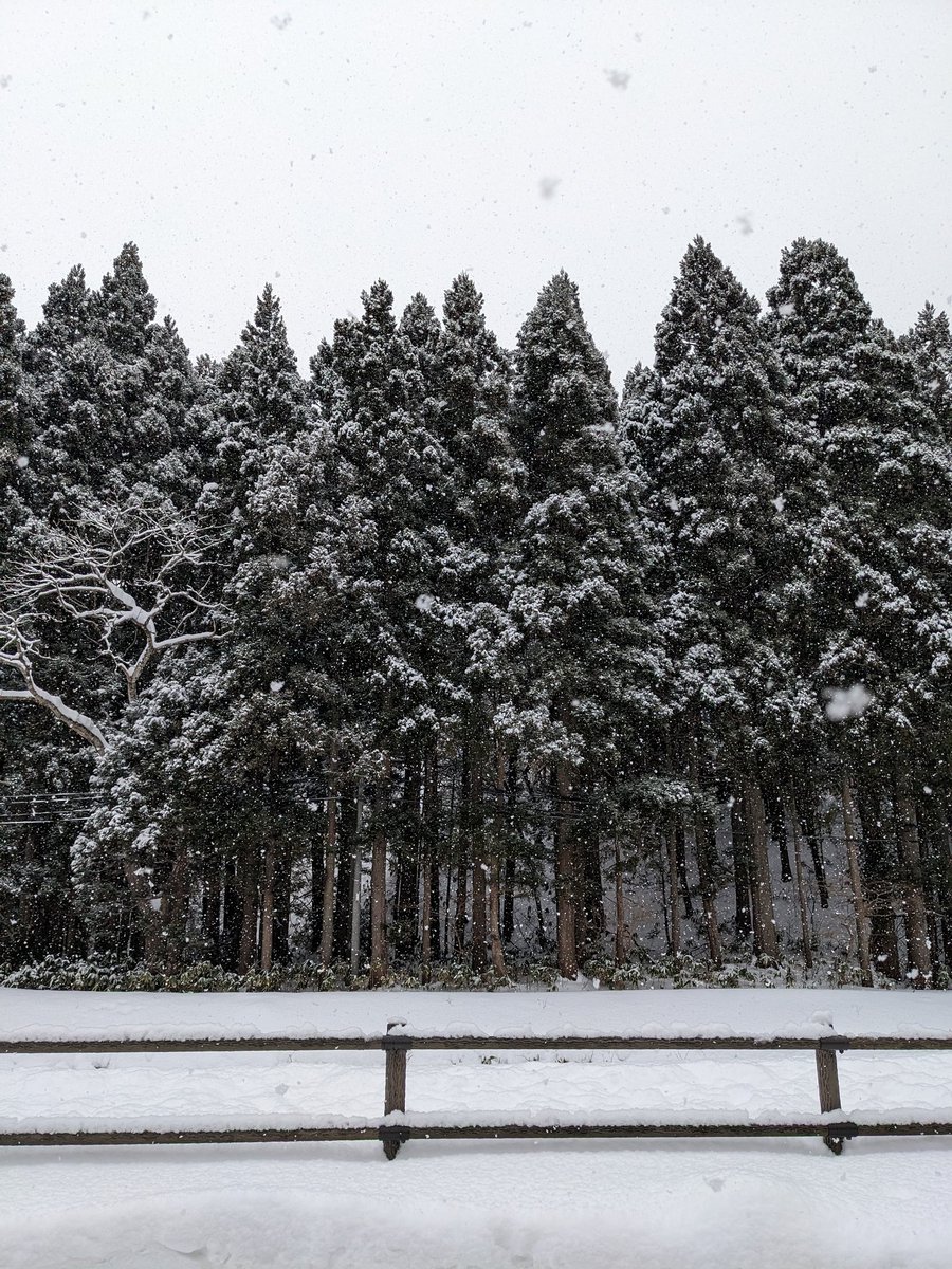 aomzk_ilst's tweet photo. 風もなく、大粒の雪がユックリ降るのがスキだ。
スノードームみたい。
#冬
#雪
#田舎暮らし https://t.co/BKelNTtKgL