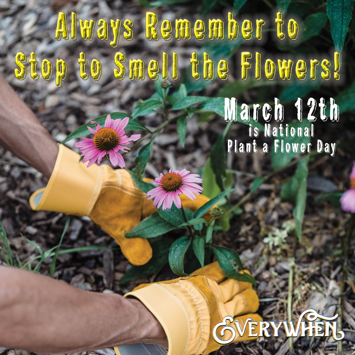Everywhen_Info's tweet image. Help make the world a beautiful place! 

Plant a flower today for National Plant a Flower Day and don't forget to Leave No Trace! 

#donoharm #everywhenproject #leavenotrace #plantflowers