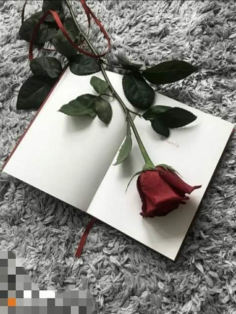 يا سلام الله على اللي يردون السلام 
والوفا يجزي وفا والتحيه وافيه 

مالقيت ازين من الطيب ومزوح الكلام 
والنوايا الطيبه و الصدور الصافيه