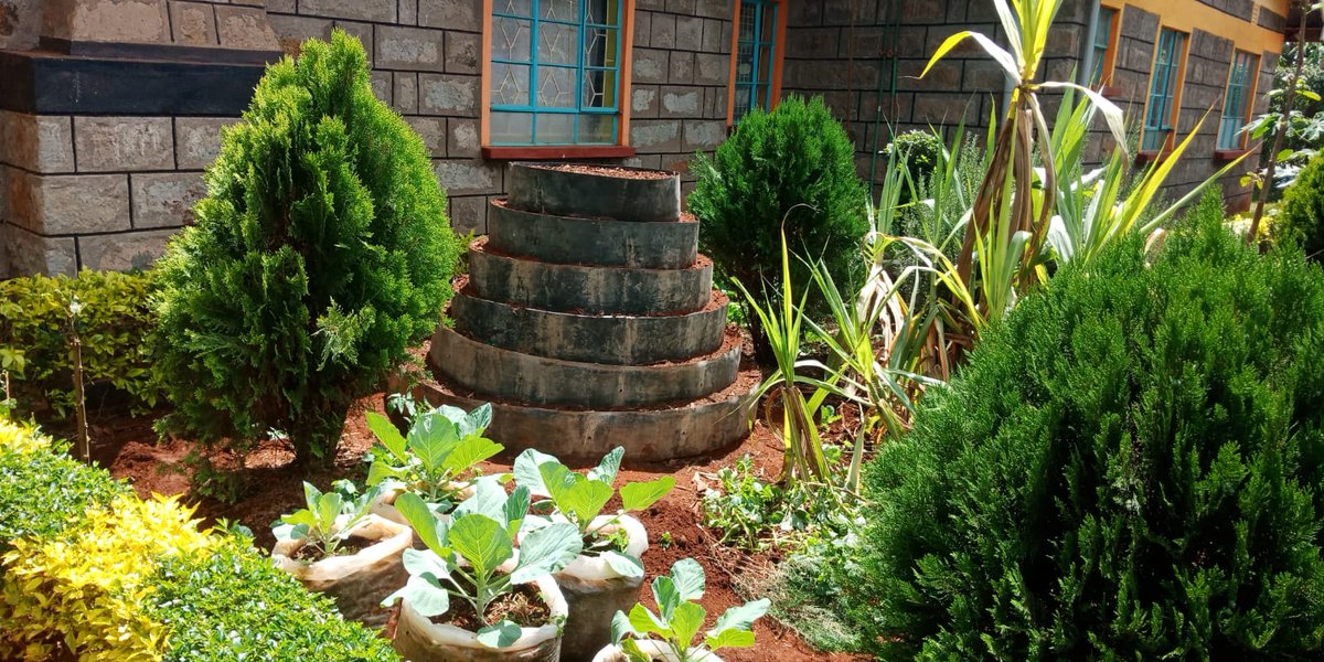 jacyfarms's tweet photo. Conical gardens, valentines is coming up, gift your mama this beautiful garden for her vegetables and no more jembes to break her back. #jacyfarms #ValentinesDay2023 #UrbanGardening https://t.co/g0ucGimEMq