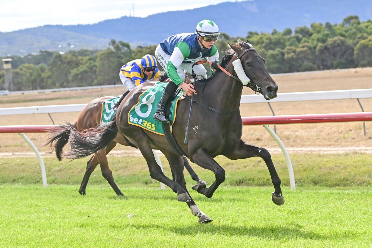 Henry Dwyer Racing tweet media