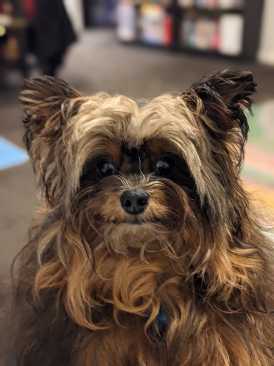 PippaKH's tweet photo. @bunsenbernerbmd C is for Cookie https://t.co/0VijB3z5eb