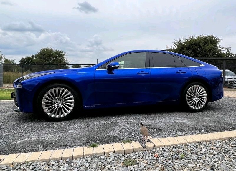 Green Tech Watcher tweet media