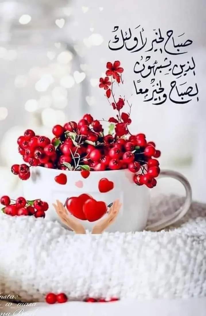 AlhoolAref's tweet photo. @mshalalqhtany3 https://t.co/lYvSlMC74t