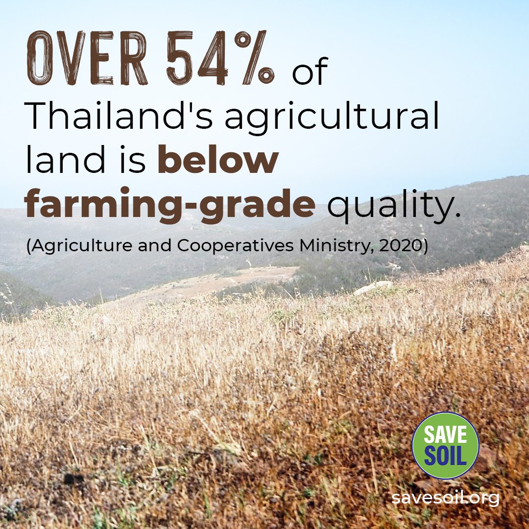 Ecolife1205's tweet photo. #SaveSoilMovement #SaveSoil #ConsciousPlanet https://t.co/YXX2WKjuqk