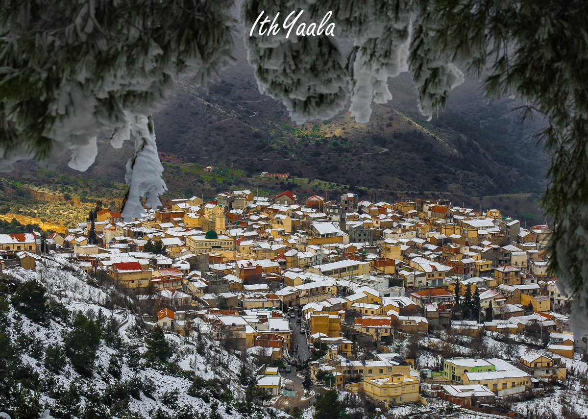 ما أجمل النُّفـوس المُشـرِقه التي ترسُـمُ الأمـلَ لها و لِمَـن حولها 
وتهدينا الورد لتُخبرنا إنَّ 
الجمالَ جمالُ الرُّوح 🌸
صباحكــم إشراقة أمــل وأرواحٌ مُبتَسِمة وباقة ودٍّ وورد 💐💐