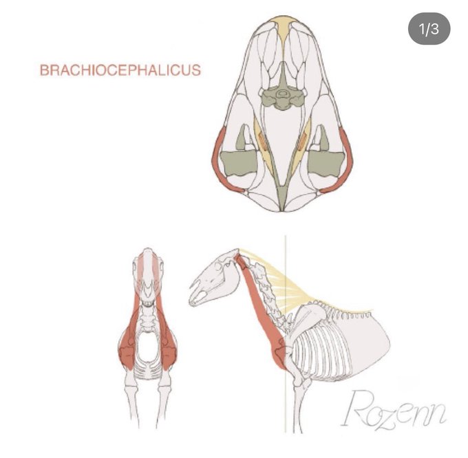 「no humans spine」 illustration images(Latest)