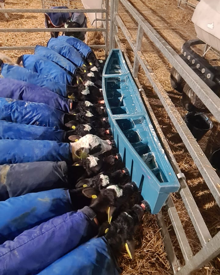 FarmingPartners's tweet photo. Busy on the milk bar, calving is well underway! Shout out to our teams and everybody else putting the long hours in right now ๐ช #calving #teamdairy #farmingpartners https://t.co/YsbPVHTfqO