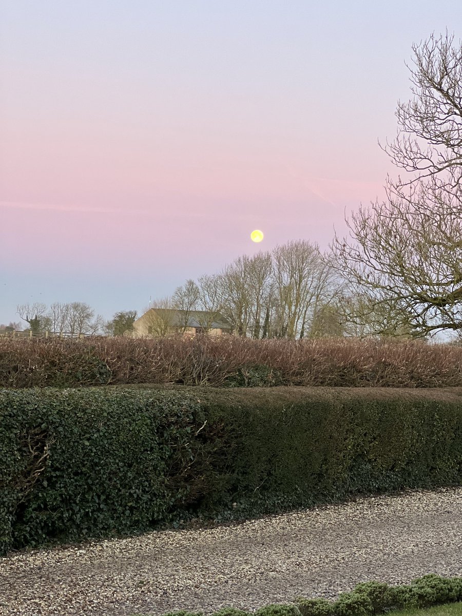 The8055's tweet photo. That’s no space station…that’s a moon https://t.co/ljm1IYCz8Q