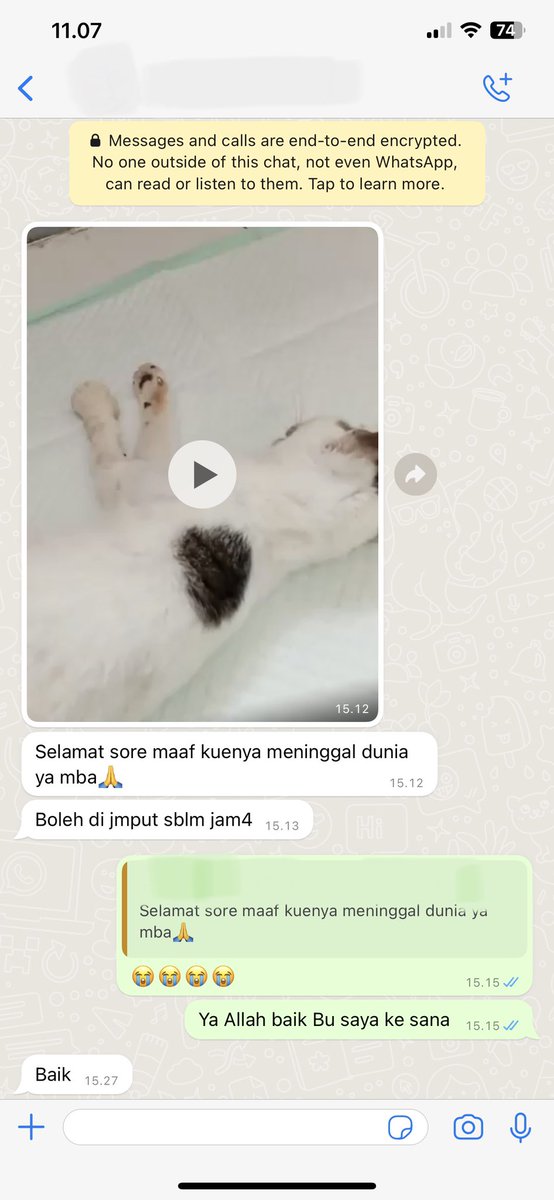 JasparCreative's tweet photo. Top story: @kochengfs: 'Paling sakit pas 🐈‍⬛ kena virus. Padahal baru sehari 😔 ' https://t.co/xkCyEySbN4, see more https://t.co/vLbBJrBEhV