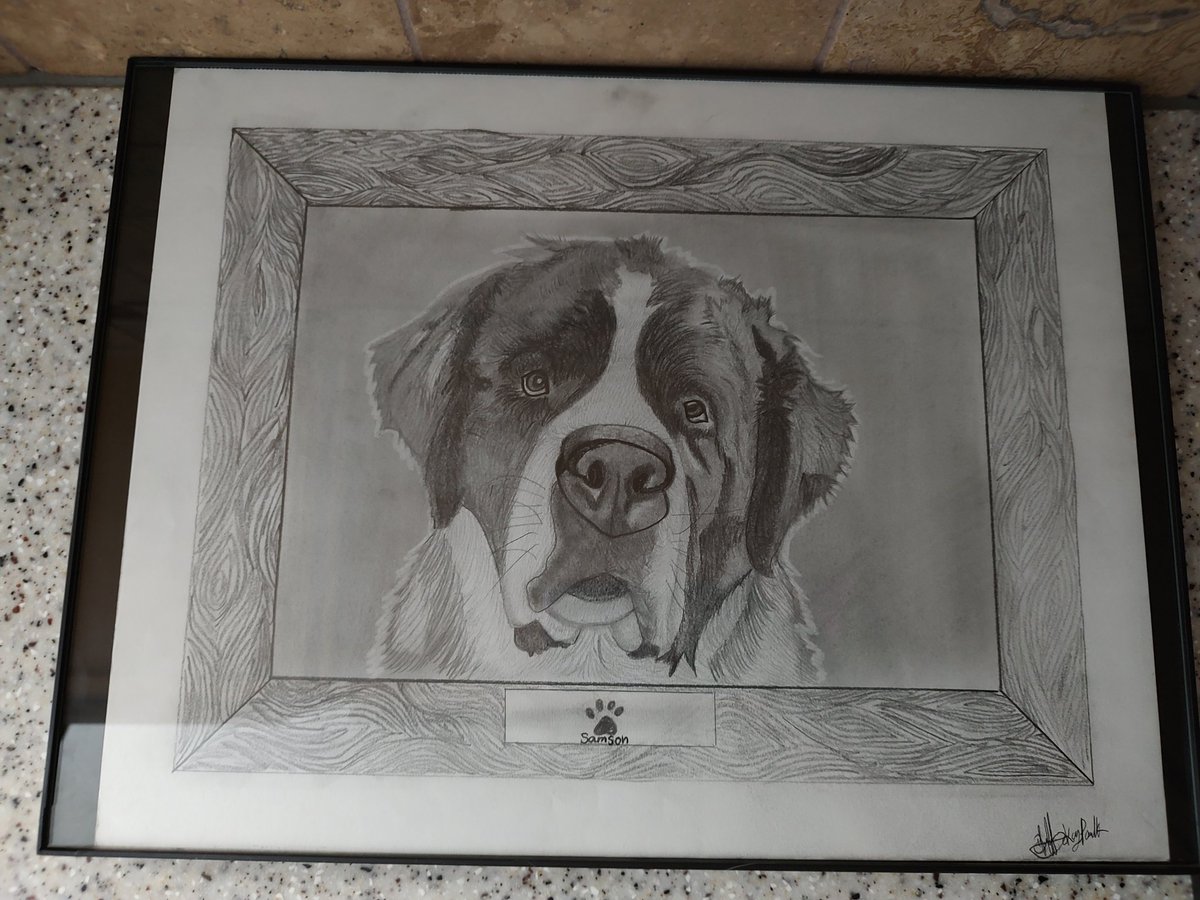 #saintbernard #art #artistsoninstagram #artwork #dogart #dogartwork #saintbernardsofinstagram #sampson #doggies #graphitedrawing #grapgitepencil #graphiteart #grapgiteportrait #portrait #graphiteportrait #grapgiteonpaper #2023goals #2023  #2023artwork #2023art  #dogsofinstagram