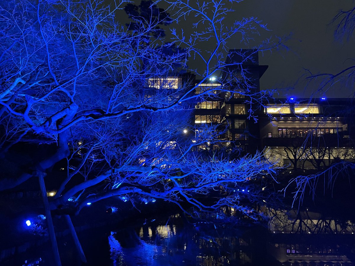 mypal_jp's tweet photo. Some photos from #Tokyo #Blue #Garden #TokyoBlueGarden #lightup https://t.co/4a1cvwosuz