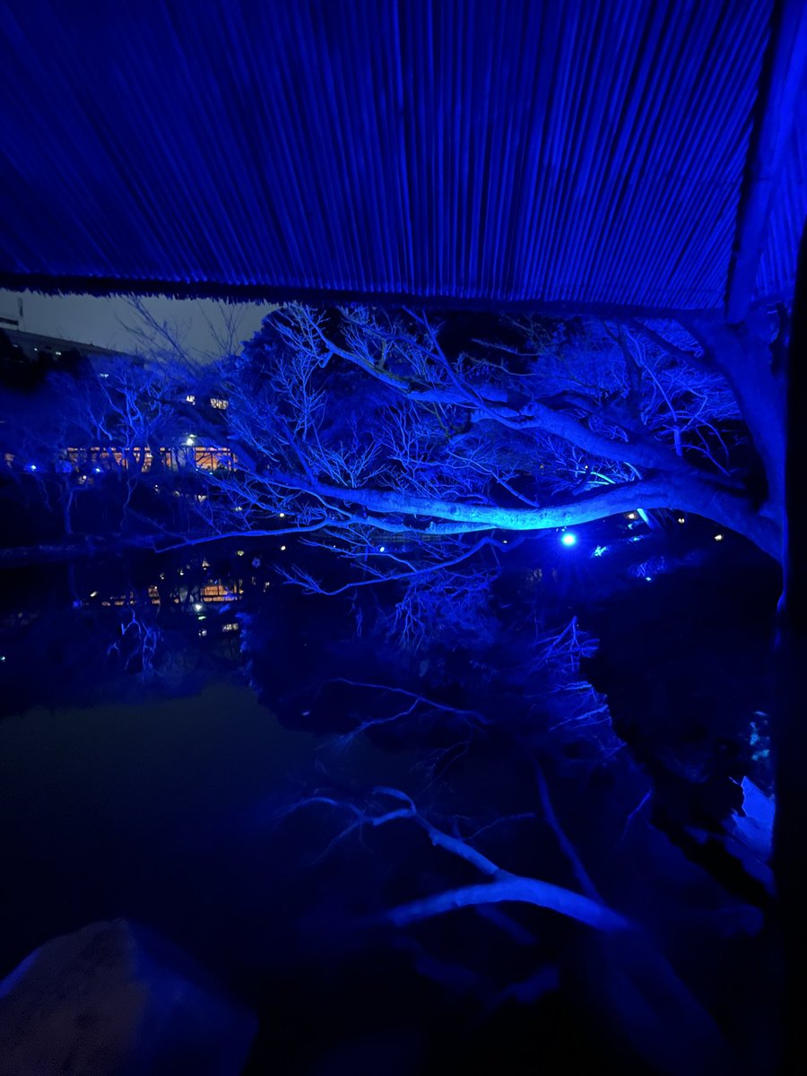 mypal_jp's tweet photo. Some photos from #Tokyo #Blue #Garden #TokyoBlueGarden #lightup https://t.co/4a1cvwosuz