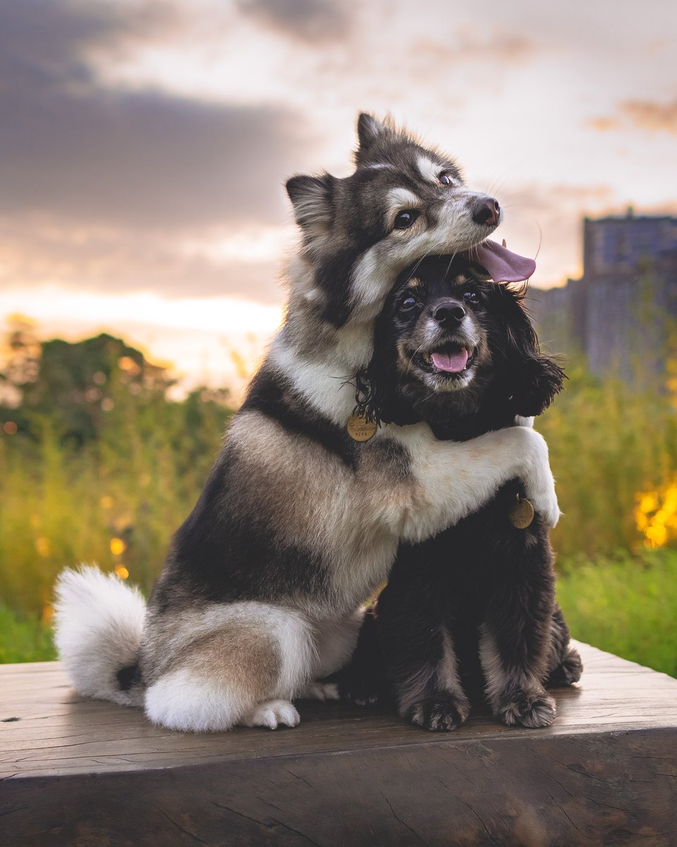 The world needs more hugs 🤗