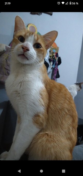 My night. https://t.co/N2RsWx8gjo<a href="/tag/hunterxhunter"class="tags"><span>#hunterxhunter</span></a>