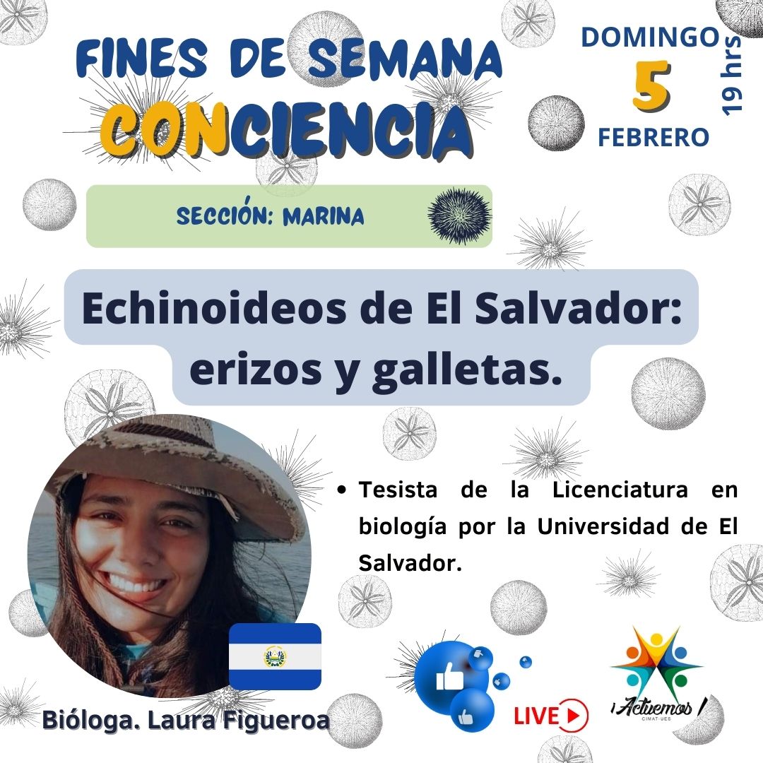 PatrizGerson's tweet photo. Seguimos con el programa de Divulgación Científica

En esta oportunidad la Bióloga Laura Figueroa nos hablará sobre Echinoideos de El Salvador: erizos y galletas🇸🇻

Día: 5 de febrero
Hora: 7 pm hora de El Salvador

Vía Facebook Live
Enlace:https://t.co/XwnYBCmwSN

#ElSalvador https://t.co/VBQ5F8USD8