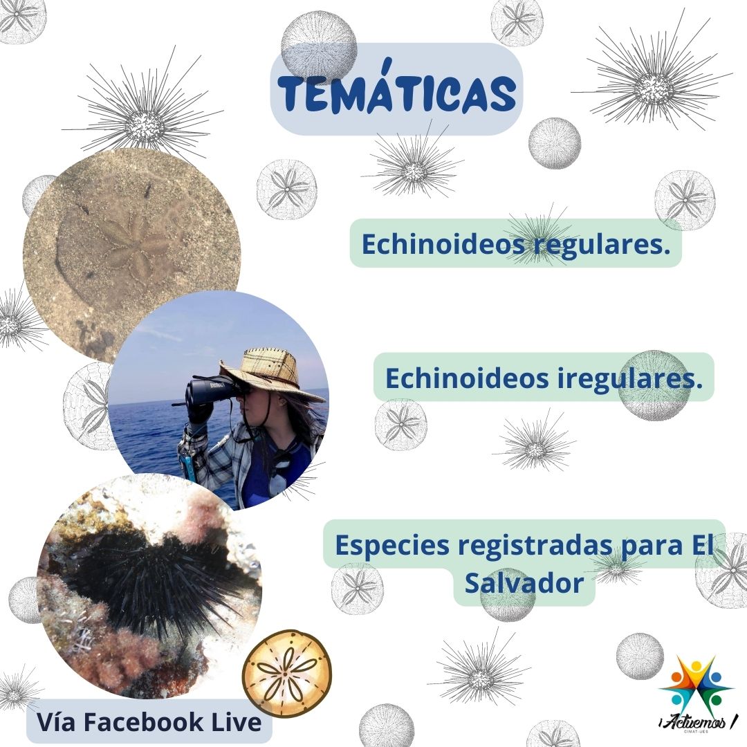 PatrizGerson's tweet photo. Seguimos con el programa de Divulgación Científica

En esta oportunidad la Bióloga Laura Figueroa nos hablará sobre Echinoideos de El Salvador: erizos y galletas🇸🇻

Día: 5 de febrero
Hora: 7 pm hora de El Salvador

Vía Facebook Live
Enlace:https://t.co/XwnYBCmwSN

#ElSalvador https://t.co/VBQ5F8USD8