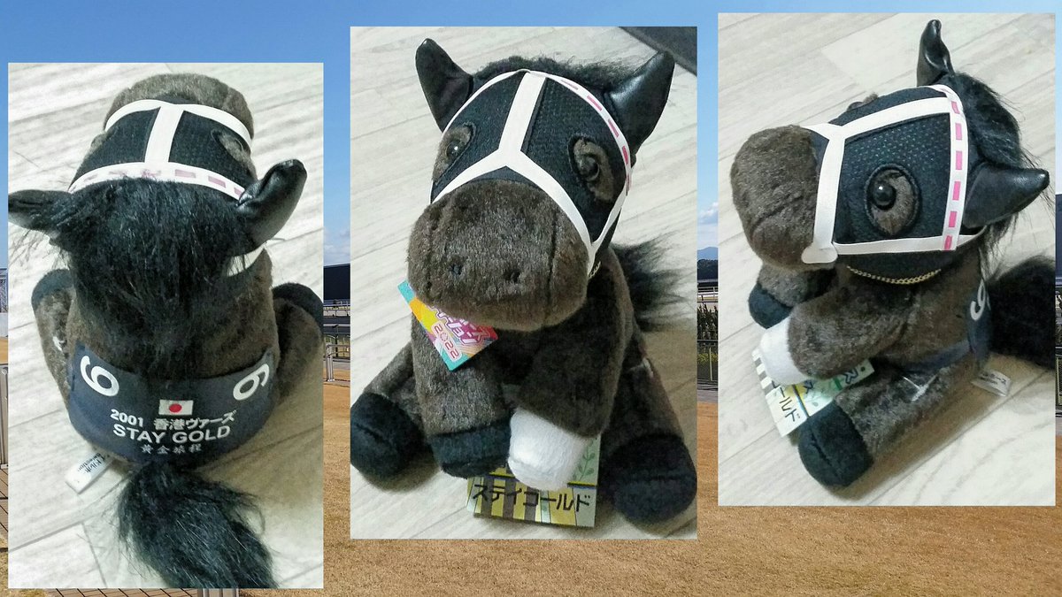 希少品ステイゴールド香港ヴァーズ2L特大ぬいぐるみ 希少品ステイゴールド香港ヴァーズ2L特大ぬいぐるみ 2025年最新】Yahoo