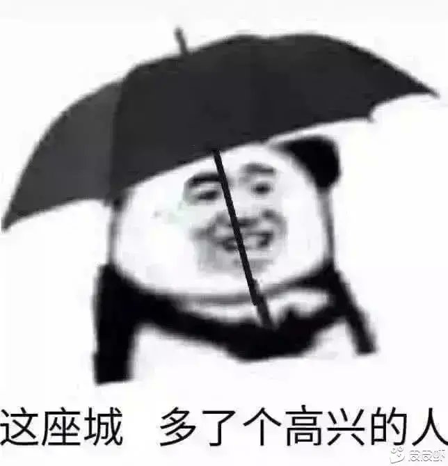 qincha tweet media