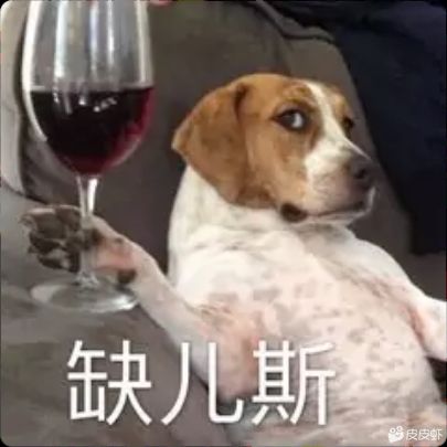 qincha tweet media