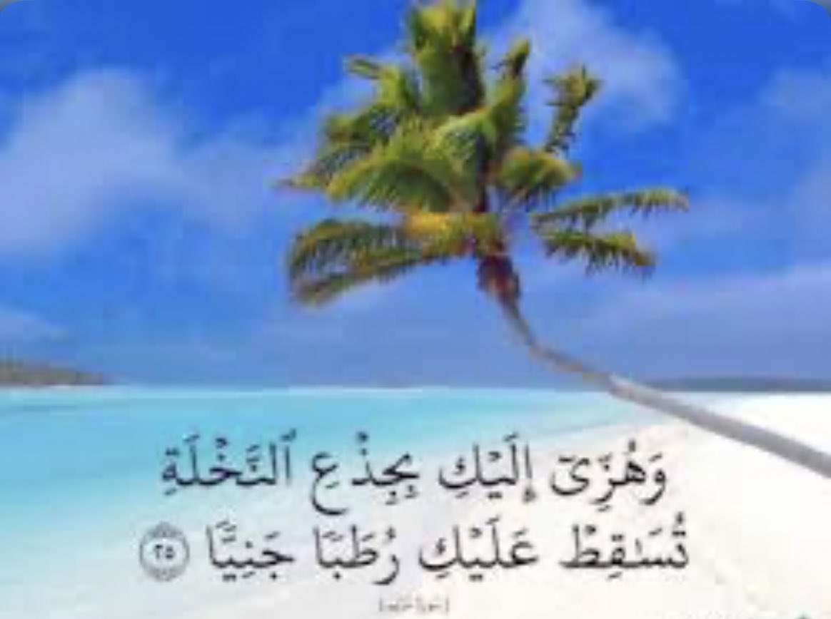 AlthaniSuhaim's tweet photo. يعلم الله سبحانه ان رجلاً شديداً لا يقوى على هز 

نخله ، فما بالك بآمرأة قد وضعت مولوداً للتو !

ولكنه حين قال لها : هزي 

فقد آراد منا أن نأخذ بالأسباب ، وليعلمنا أن السعى مطلوب .

#صباح_الخير https://t.co/Cy58RXJg8d