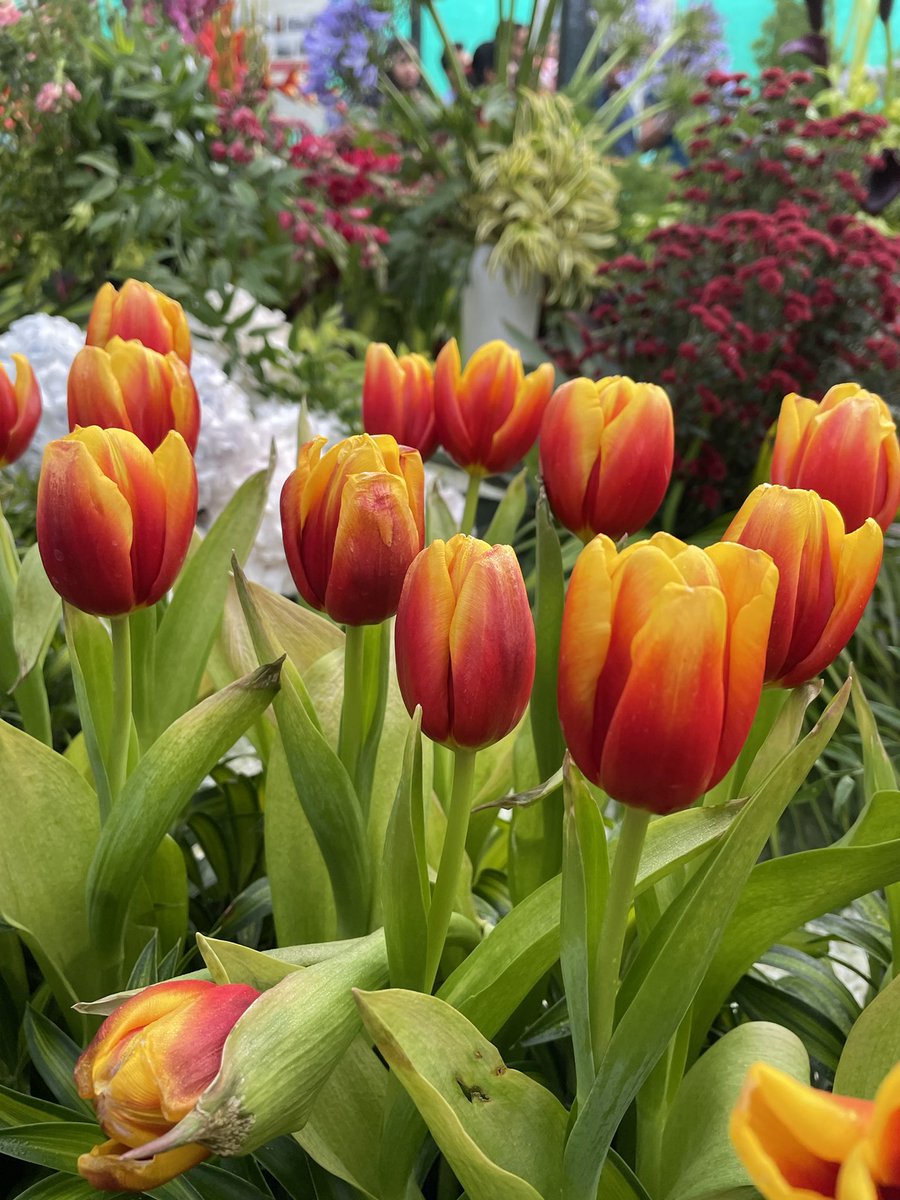 z_pi_curious's tweet photo. #GoodMorningEveryone
Such a beautiful morning!!
Feeling inner happiness & enthusiasm...
May we have a remarkably productive and blessed day ahead...
#Gr8Luck
#CompletionOfTaskPerfectly
#PleasantSurprize
#ThankingUniverse
#sundayvibes
#SundayMorning
#ajs1729 https://t.co/L42c0cDH2n