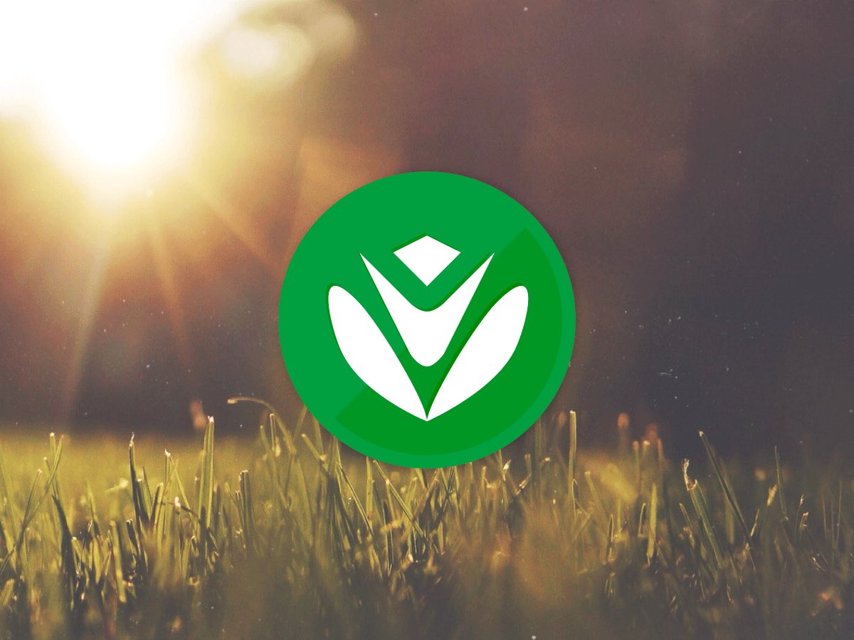 Arturo Lucatero 🥑 tweet media