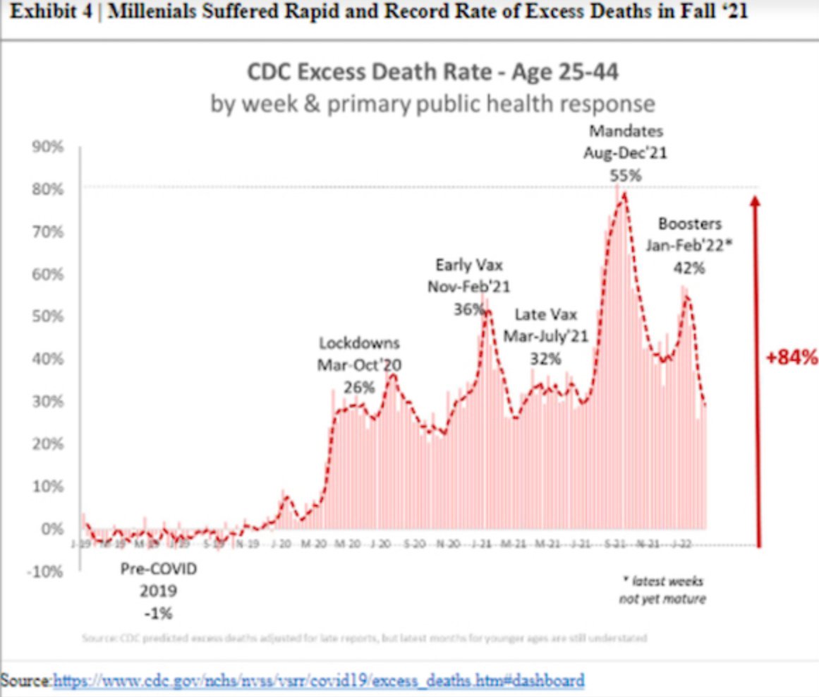 BeckyJohnson222's tweet photo. @lguzik22 @ABC Yet the statistics tell us that there's been an 84% increase in excess deaths in the 25-44 yr-olds. Those are NOT ages with a high death rate from COVID.
#ThinkThink https://t.co/ug7v66tCD2