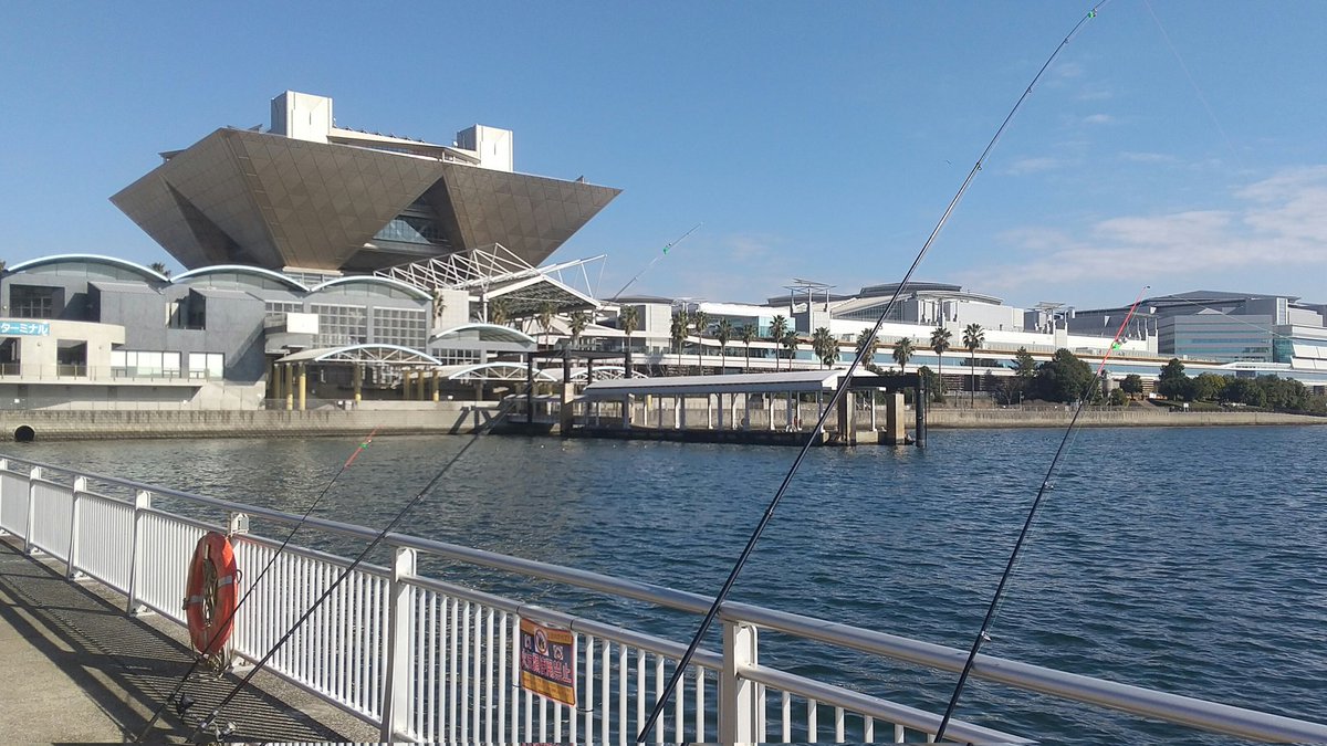 今日は暖かい😇