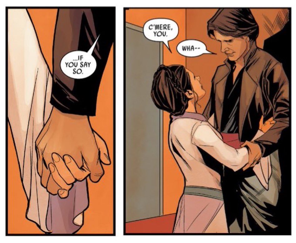 Han and Leia ☆ .*・. ﾟ✧* (@hanleia_comfort) on Twitter photo 