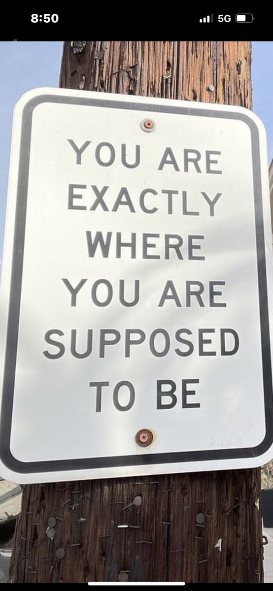 ScottExies's tweet image. #spiritshigh #theexies