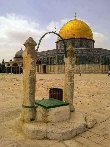 Umati20's tweet photo. بيت المقدس، ماشاءالله⁦❤️⁩
څوک به يي ريټويټ کړئ؟! https://t.co/T42ZJN7MTg
