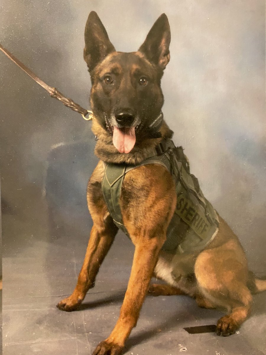 Checques employee photos came in <a href="/SarpySheriff/">Sarpy County Sheriff's Office</a>
