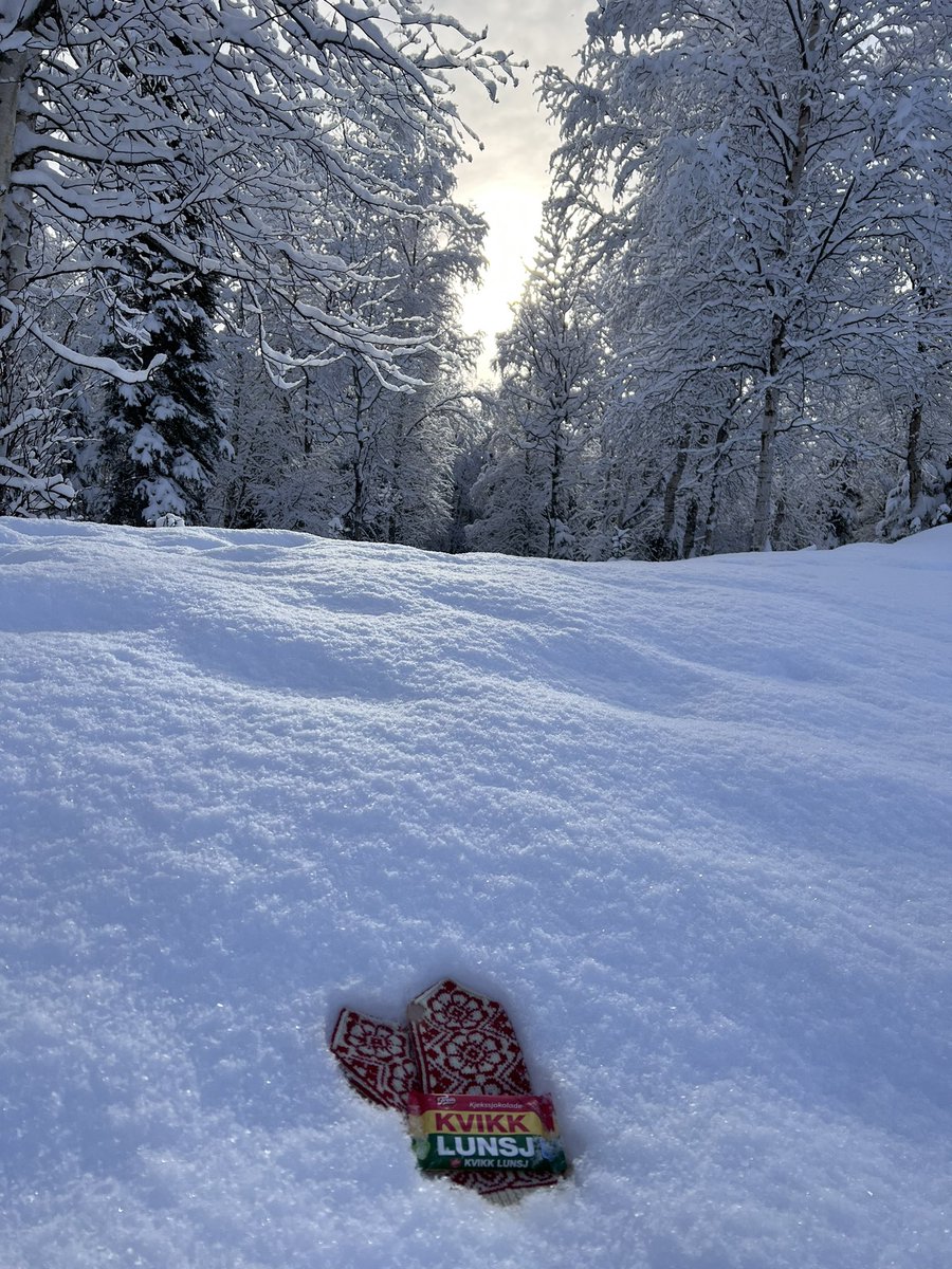 aknorsk's tweet photo. Learned a fun new word today: snøfnugg - snowflake. 

#14daysoffriluftsliv #14dagerfriluftsliv #sonsofnorway #friluftslivak #day2 #norsk #jeglærernorsk #kvikklunsj https://t.co/Zq0t1OnsLM