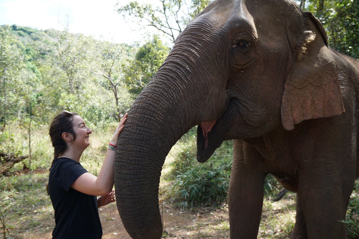 Ilohook's tweet photo. 🐘🥰 https://t.co/eC3a60EpJn