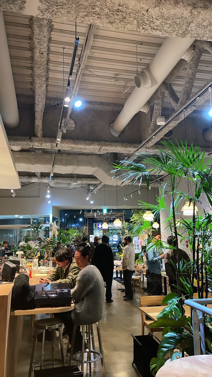 STEEEZO OP-1 wizard tweet media