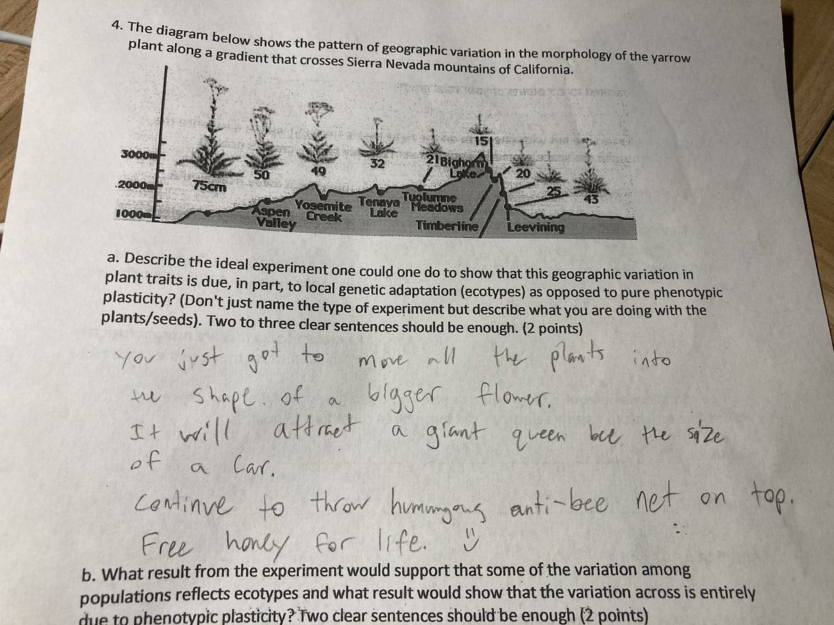 Grading is a mix of feelings and I almost choked reading that one: