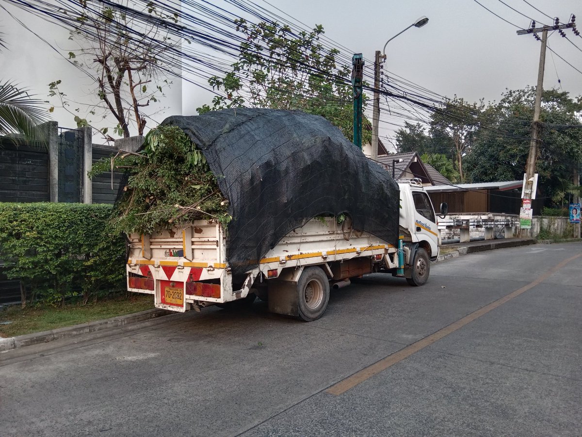 NoFoodWaste_TH's tweet photo. อาทิตย์ที่แล้วตัดกิ่งไม้ที่หมู่บ้าน พบด้วงตายอย่างน้อย 2 ตัวอาจเพราะไม่มีที่อยู่ เลยมาเดินบนถนนโดนรถทับตาย ในขณะเดียวกันก็มีการขนกิ่งไม้ไปทิ้ง น่าเสียดายที่น่าจะเอามาผสมกับเศษอาหารเพื่อนำกลับมาทำปุ๋ยได้ ถ้าเรามี community compost เป็น infrastructure ที่ทุกชุมชนสามารถจัดการเองได้ https://t.co/VlZlHAjtQM