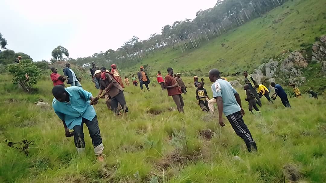 #Burundi
Le SEP quant à lui s'est joint à la population des collines Gikonge et Kivogero. 
Plus de 7000 plants d'eucalyptus🌳 ont été planté sur le mont #Saga dans le cadre du programme Ewe Burundi Urambaye
<a href="/BurundiGov/">Primature de la République du Burundi</a>
<a href="/BMineagrie/">BURUNDI/MINEAGRIE</a>
2/n