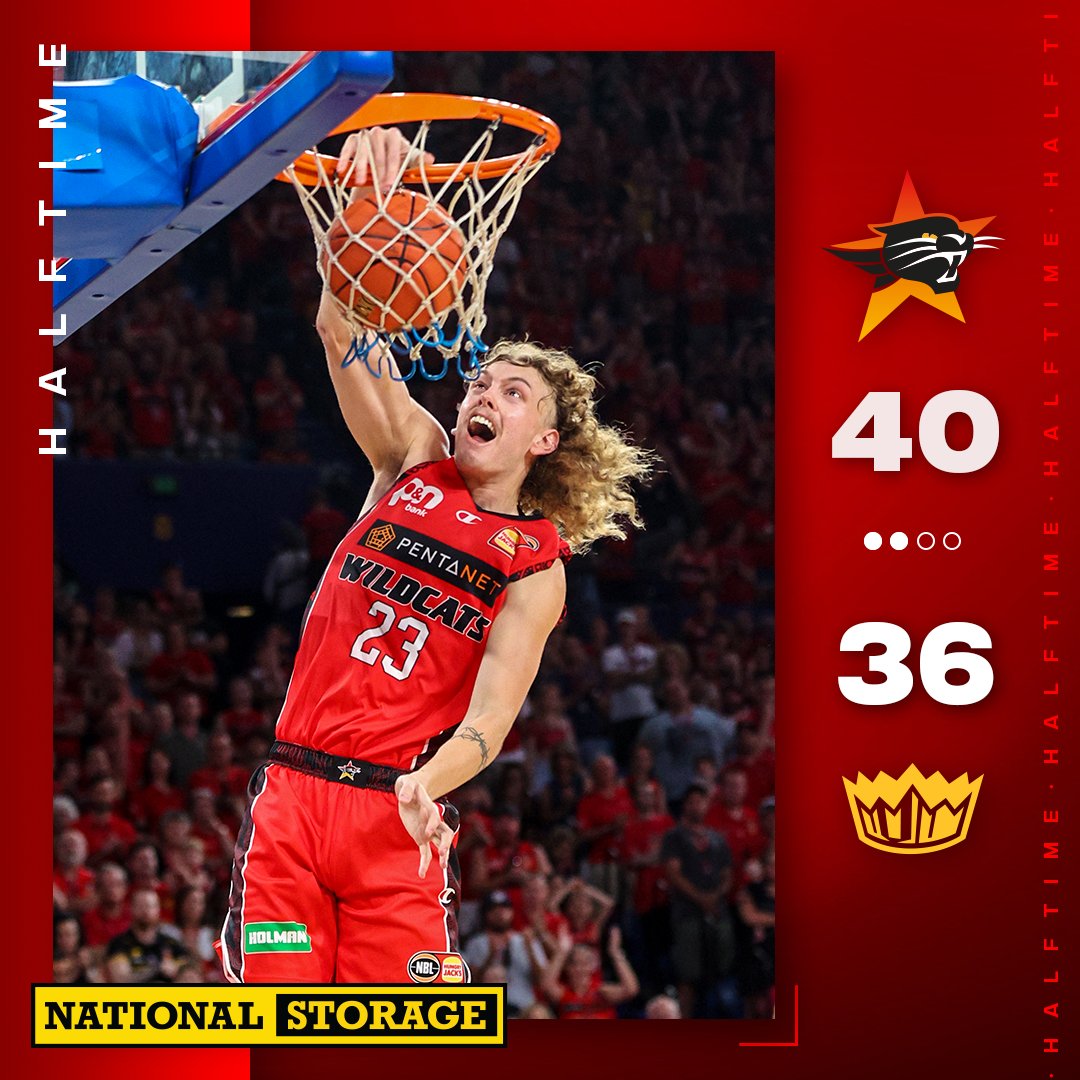 Perth Wildcats tweet media