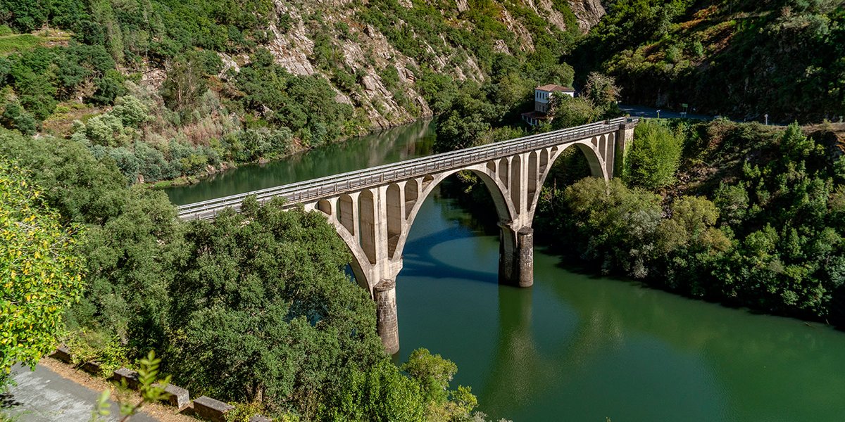 #スペイン を列車で巡る旅はいかが🚂

北部を走る「トランスカンタブリコ号」は歴史ある観光列車❣

サン・セバスティアンからサンティアゴ・デ・コンポステーラまで全8日間の列車の旅🧳

詳しくはこちらをチェック 👉bit.ly/3iHW2yf 
 
#VisitSpain #SpainRoutes
