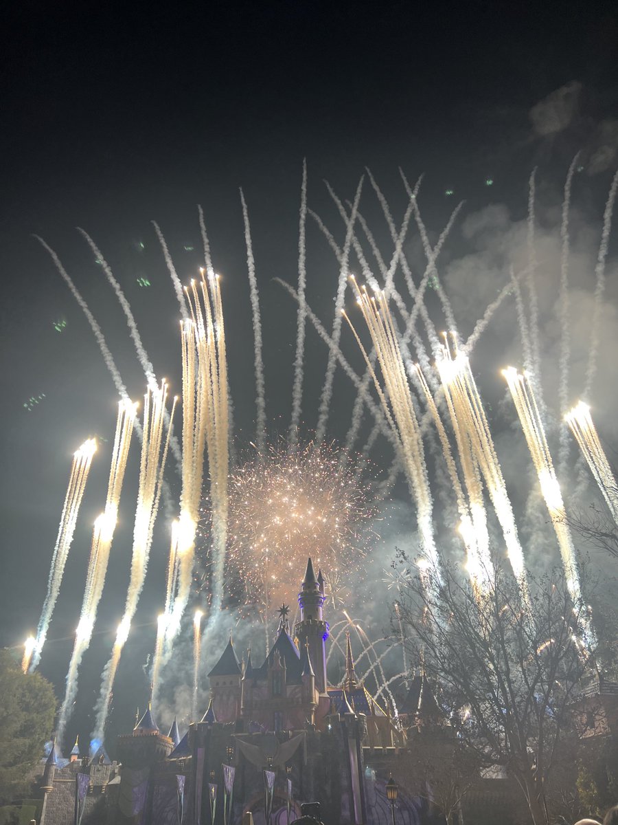 LaurasMiscMovie's tweet photo. Excellent! #WondrousJourneys #Disneyland #100YearsofMagic #Disney100 https://t.co/ynCdqEu9AH