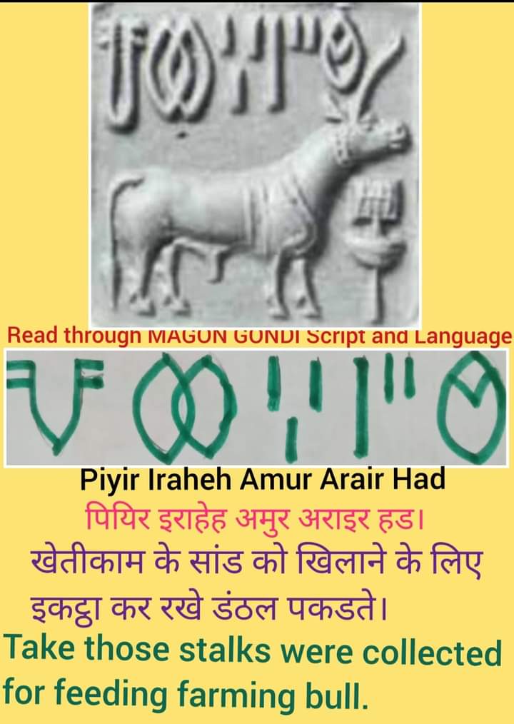 Tilak_NetamGond's tweet photo. #MagonGondiLanguage
#Koitoor #Gond #Gondi #Koya https://t.co/UOD1d9D2K3