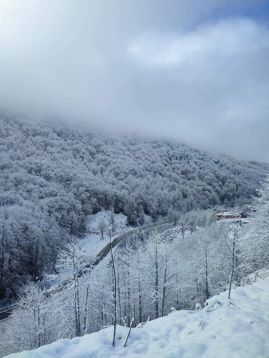 yasar_topal's tweet image. #winter #kış #wintermod